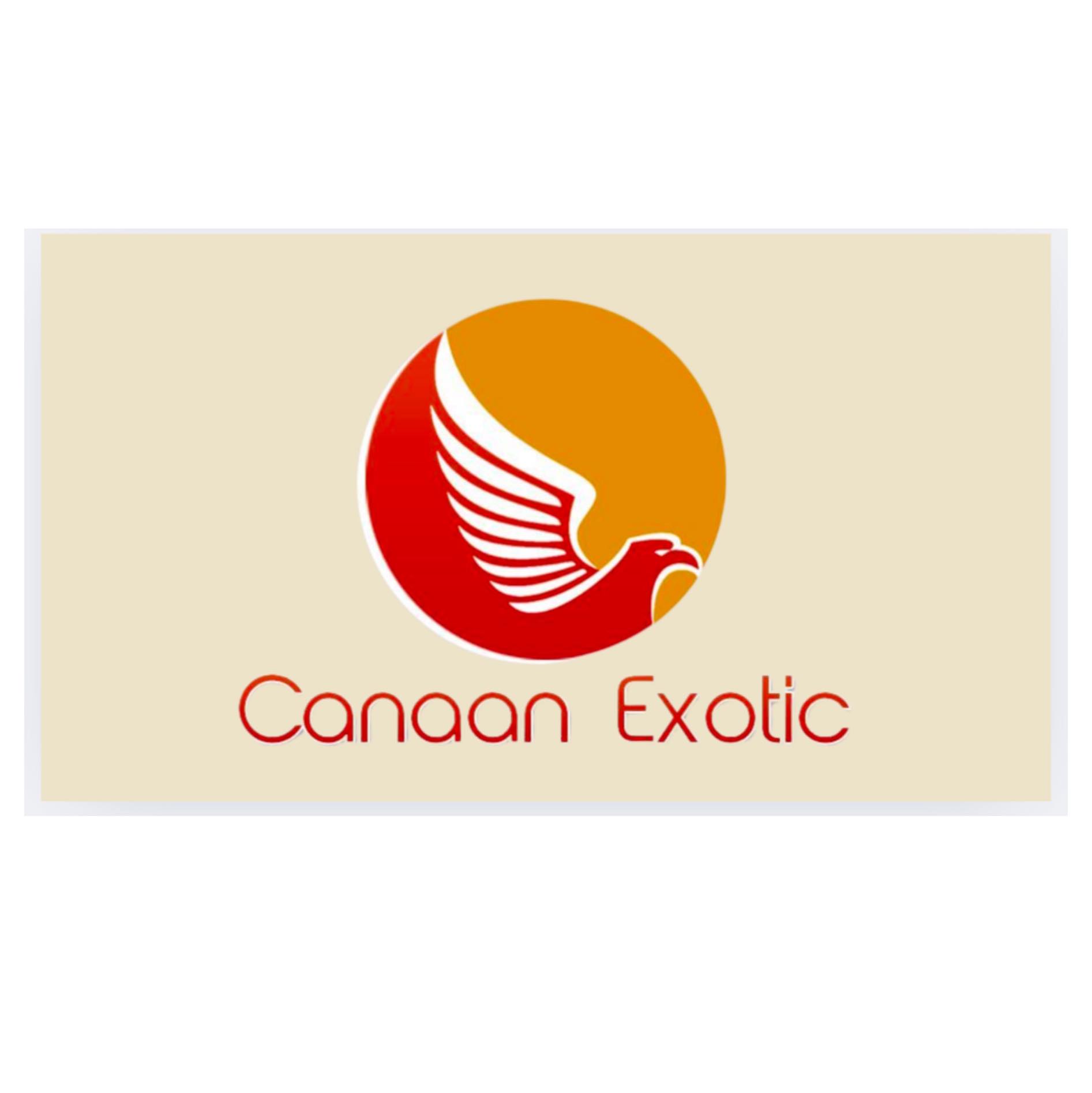 Logo Canaan Exotic
